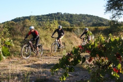 2016_pinedes_du_lez_069.jpg