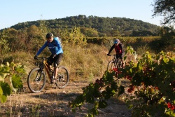 2016_pinedes_du_lez_070.jpg