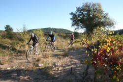 2016_pinedes_du_lez_073.jpg